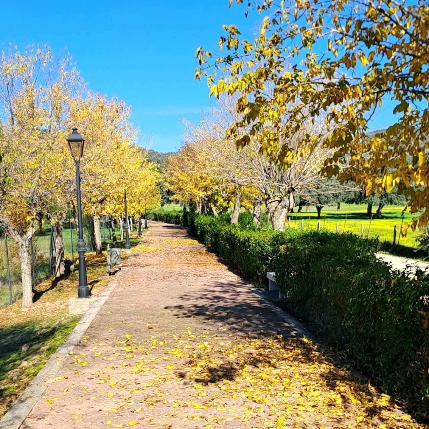 Penzion Casa El Frenazo Garciotum Exteriér fotografie